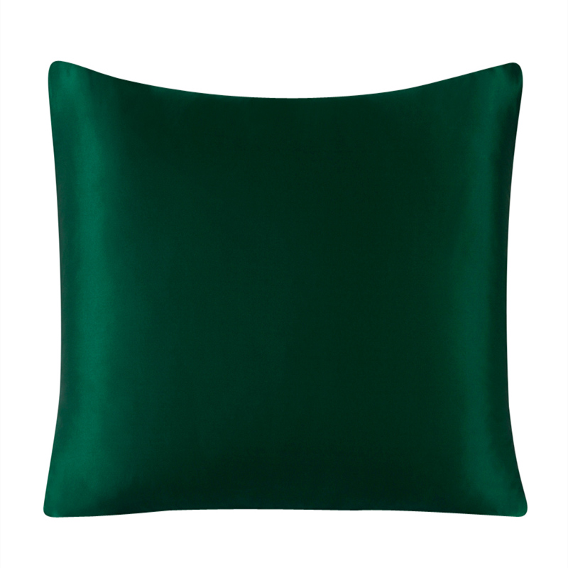 Juste de coussin avec fermetur - Silk Pillowcase avis et prix
