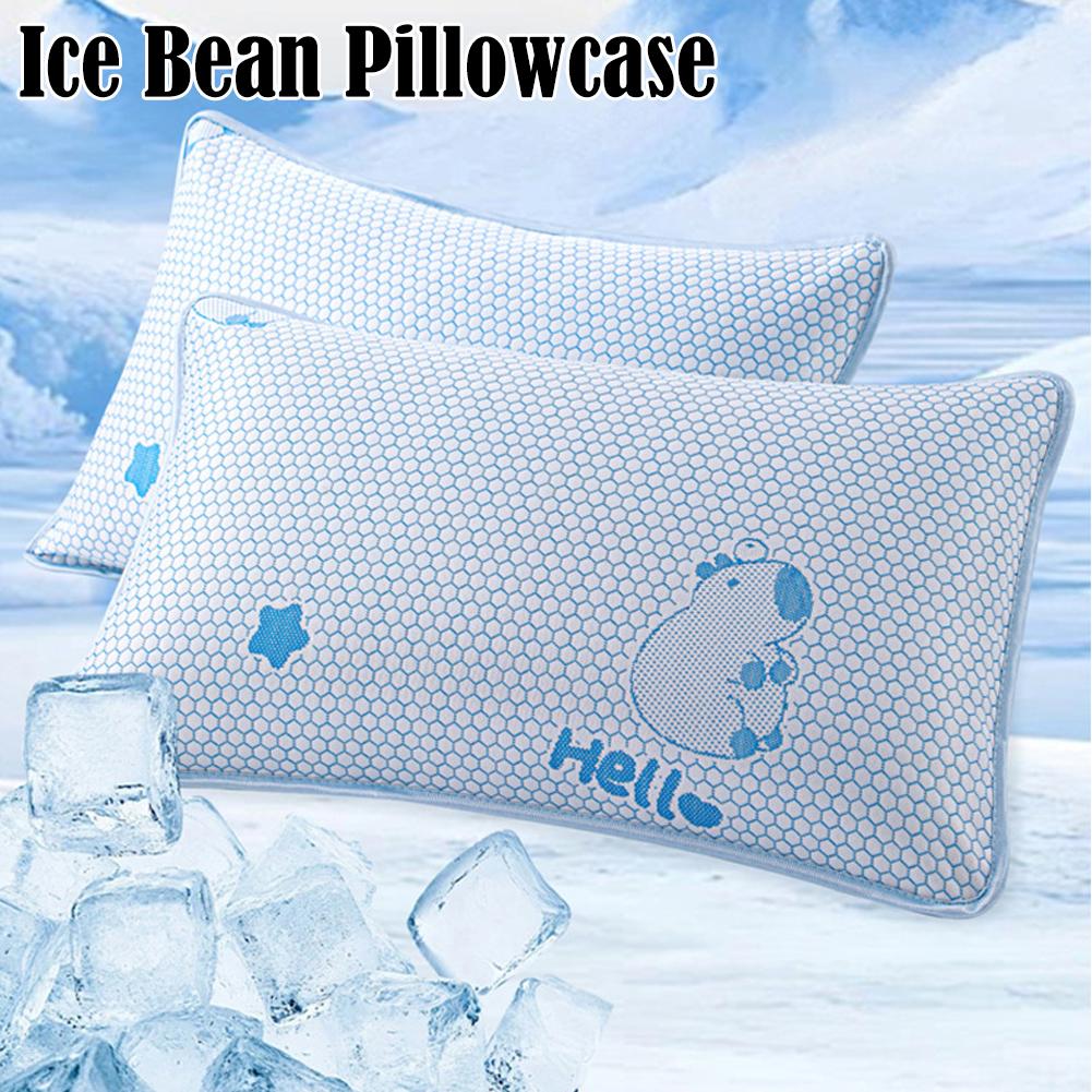 Housse de coussin en soie glac - Silk Pillowcase avis et prix